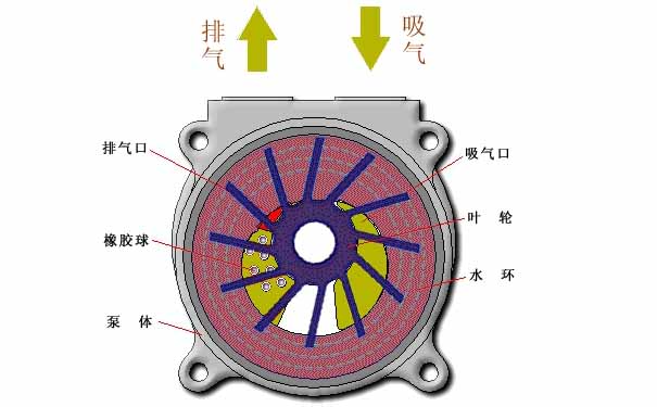 水環(huán)真空泵，水環(huán)式真空泵工作原理