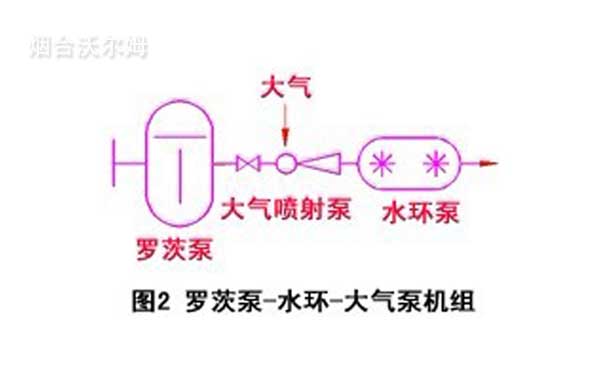 羅茨泵-水環(huán)-大氣泵機組